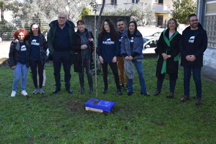 Contro l’inquinamento e a tutela dell’ambiente, piantati 5 lecci nel giardino della scuola Brigida