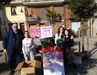 Sanità, Toma: “Attendo segnali concreti dal Governo. Subito le risorse per il 118”