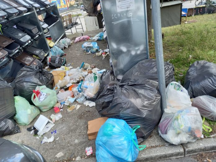 Rifiuti abbandonati, la protesta del Pd a Campobasso: “E’ emergenza, intervenire subito”
