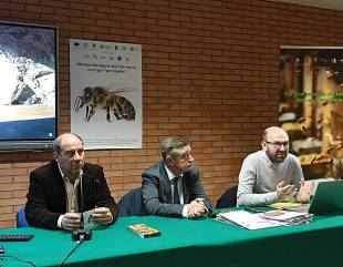 Centrodestra, Patriciello lascia il tavolo della coalizione: “Troppi personalismi e nessuna sintesi”
