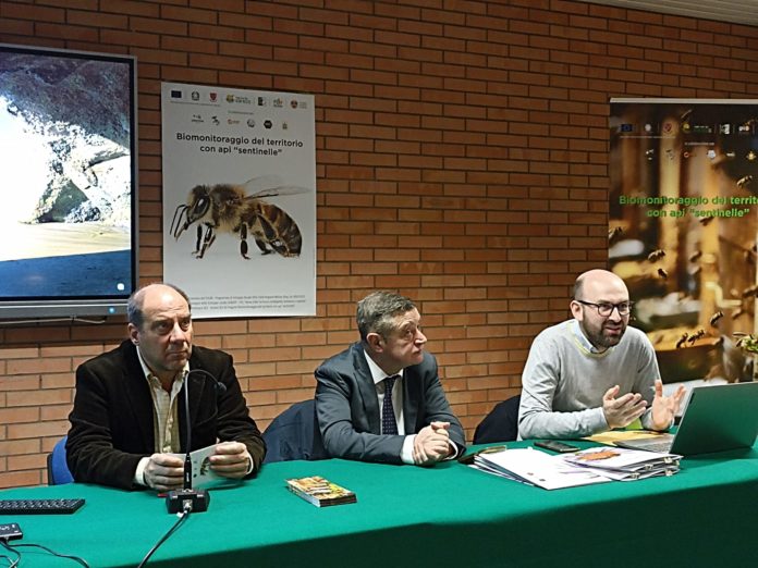 Api sentinelle dell’ambiente, presentati i risulati del progetto