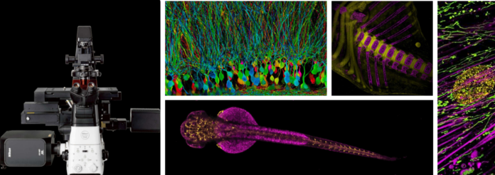 Microscopia Ottica a Fluorescenza e Intelligenza artificiale, straordinario strumento all’avanguardia operativo all’UniMol: il primo e unico in Europa