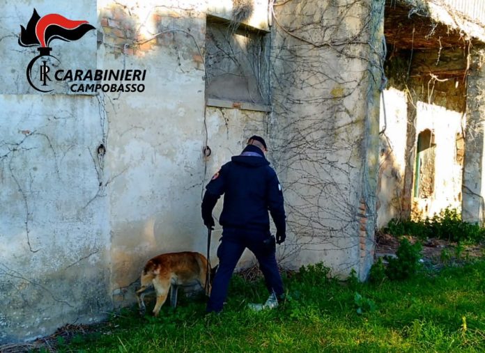 Tentata estorsione e danneggiamento ai danni di 2 ristoratori della costa, arrestato un 24enne