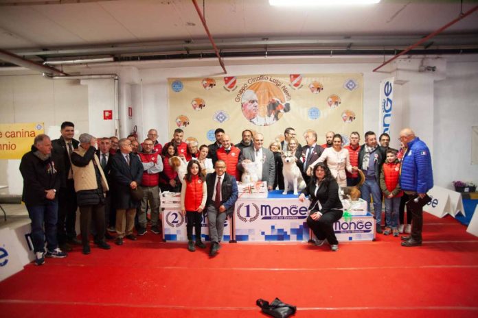 Esposizione Nazionale Canina del Sannio, il Presidente Roberti di Trivento: grande soddisfazione e un pizzico di orgoglio per la perfetta riuscita