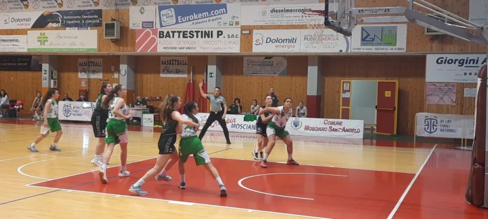 Basket femminile Under 15, La Molisana Magnolia Basket Campobasso tra le migliori dodici in Italia