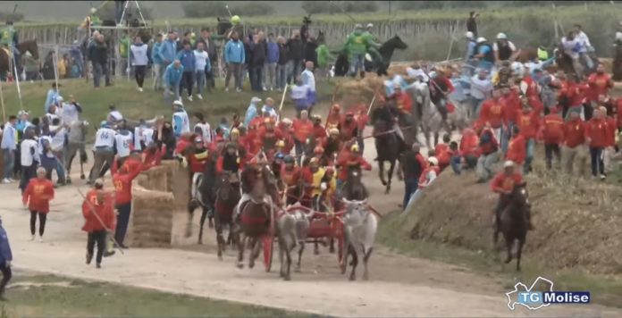 Carrese 2023, a San Martino in Pensilis trionfano i giovanotti