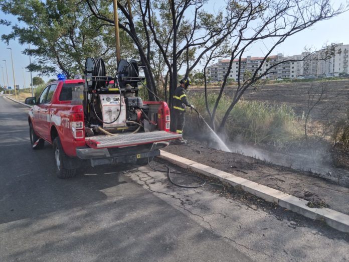 Incendi in Basso Molise: Vigili del Fuoco impegnati a Termoli e Montenero di Bisaccia