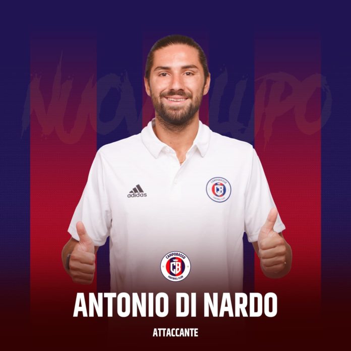 Calcio, Serie D, le molisane sono iscritte in quarta serie. Le ultime dal mercato
