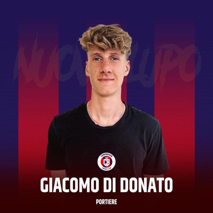 Calcio, Serie D, il Campobasso ufficializza Di Donato e chiude per il difensore under Fravola. In casa Fc Matese Marinucci Palermo potrebbe essere il nuovo DS