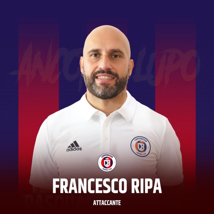 Calcio, Serie D, Ripa resta in rossoblu. Il Vastogirardi stringe un rapporto di collaborazione per la scuola calcio. Arrigoni firma con il San Benedetto