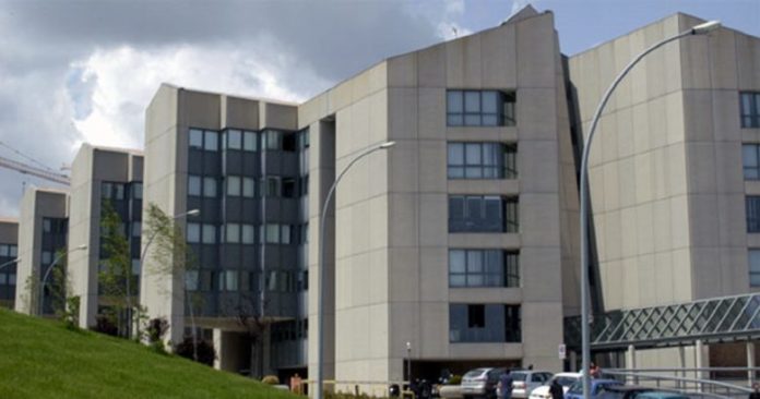 Università del Molise, emanato il bando per “Tutor alla pari”