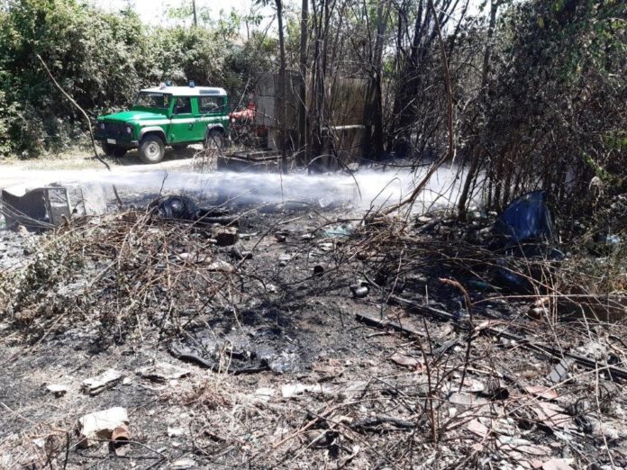 Rogo del 4 agosto a Lucito, identificata e denunciata una persona per incendio boschivo colposo