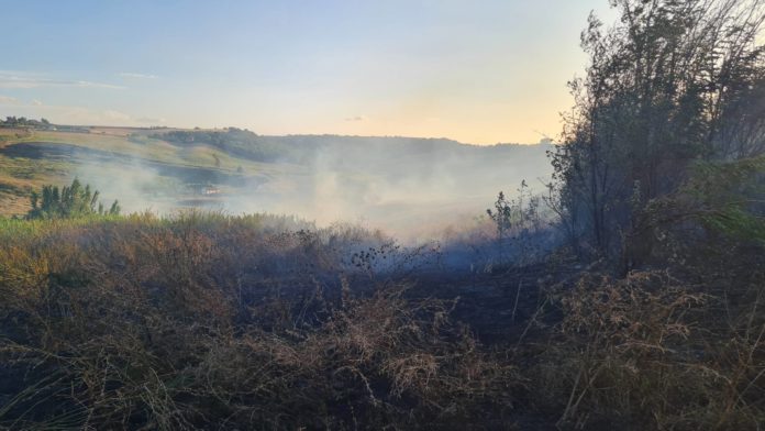 Fiamme vicino all’ex Fornace a Termoli, a fuoco ampia zona di vegetazione