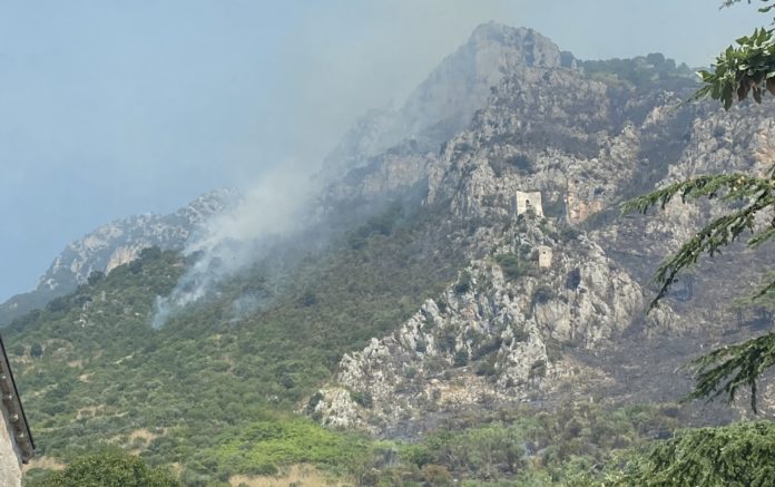 Incendio sul monte Santa Croce a Venafro: 60 ettari di vegetazione distrutti