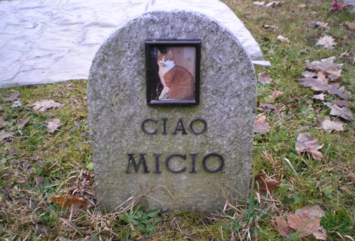 Presto un cimitero per gli animali in agro di San Giovanni in Galdo