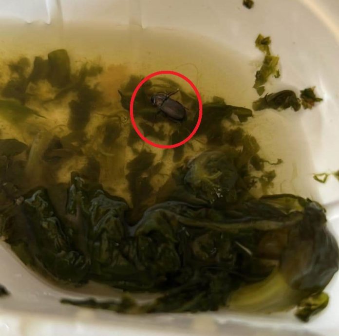 Scarafaggio in un piatto di spinaci, al Cardarelli arrivano i Nas e l’Asrem si scusa con la paziente
