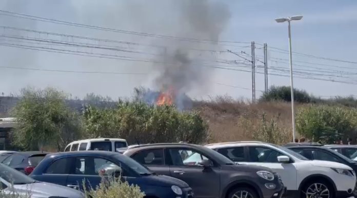 Termoli, incendio sul lungomare nord. Tempestivo l’intervento dei vigili del fuoco