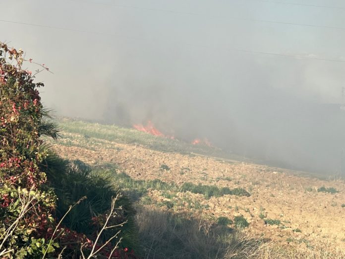 Termoli, incendio nei pressi del casello autostradale, rogo domato dai Vigili del fuoco