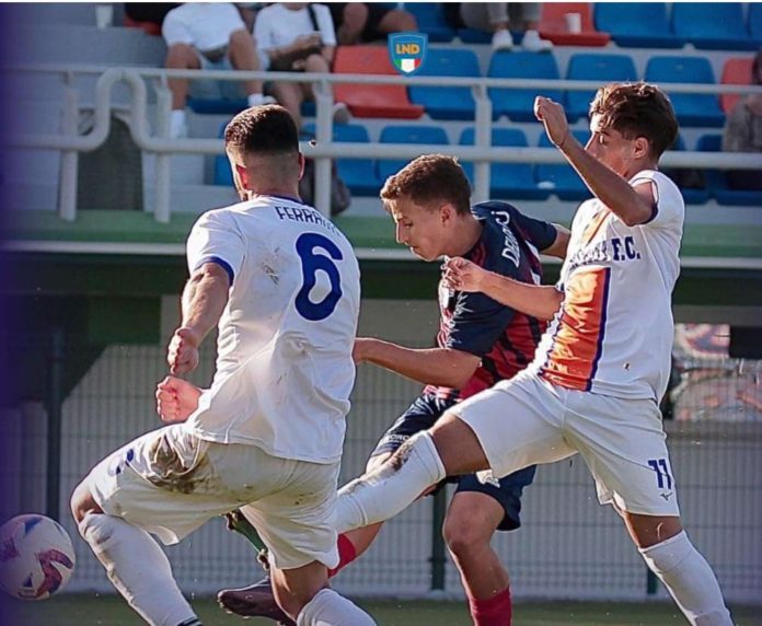 Calcio, Serie D, Roma City-Campobasso, le dichiarazioni degli allenatori. Mosconi: “Ci vuole personalità, bisogna cambiare testa”. Maurizi: “Contento per i ragazzi”