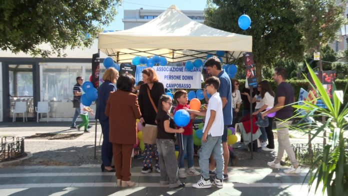 Giornata nazionale persone down, banchetto e raccolta fondi in piazza a Campobasso