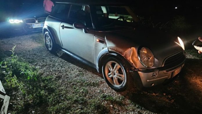 San Giacomo degli Schiavoni, auto investe famiglia di cinghiali. Illeso il ragazzo alla guida