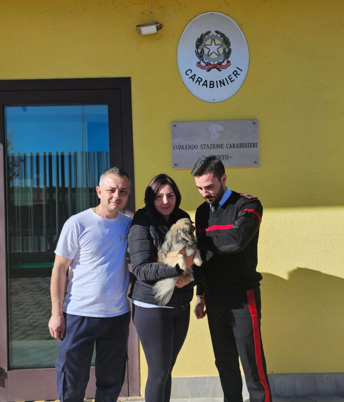 Ritrovato il cagnolino Gimmy, si era rifugiato nel giardino della Caserma Carabinieri di Trivento