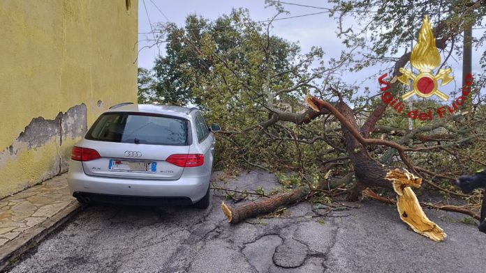 Raffiche di vento, continuano gli interventi dei vigili del fuoco