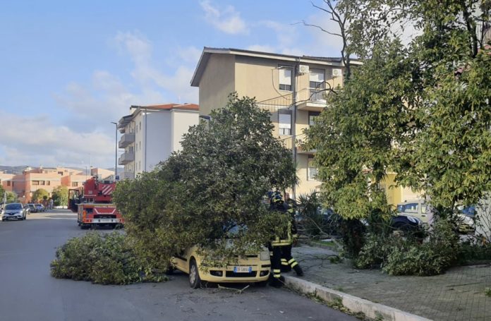 Vento forte e temperature basse in tutta la regione