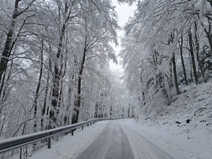 Nevica a Capracotta e Campitello. In giornata nevicate fino a 800 metri