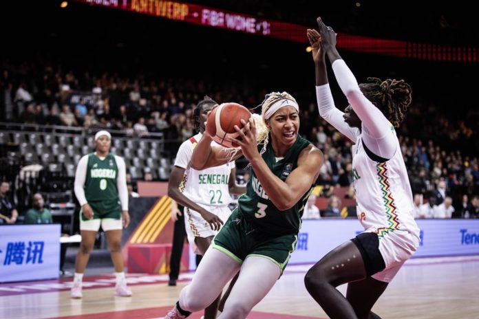 Basket, Serie B, per le giovani Magnolie trasferta a Fasano