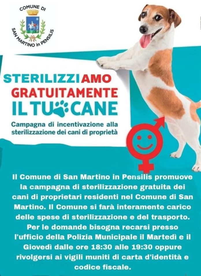 Il comune di San Martino in Pensilis promuove la campagna di sterilizzazione gratuita dei cani di proprietà