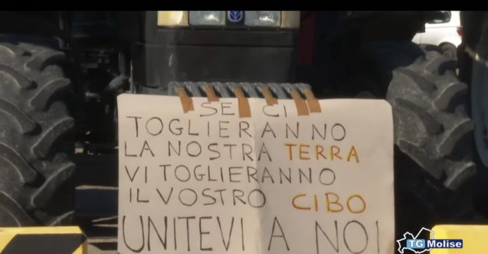 Agricoltori: la protesta a Termoli. Mercoledì previsto corteo lungo la Statale 16