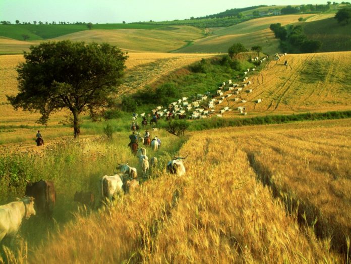 Tratturi, al via il progetto. Vale 130 milioni di euro