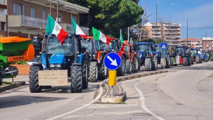 Termoli, nuovo corteo di trattori: gli agricoltori non fermano la protesta, chiedono aiuti e tutele