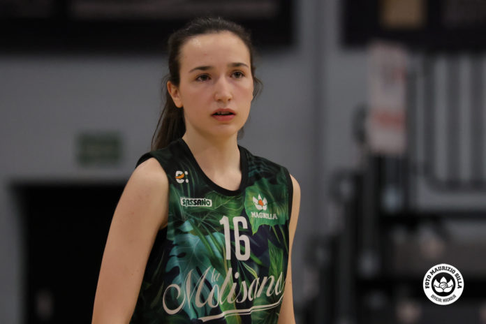 Basket, Serie B, la Molisana Magnolia nulla da fare a Potenza. La soddisfazione di coach Diotallevi: «Notevole dimostrazione dal gruppo che ci potrà essere utile in prospettiva»
