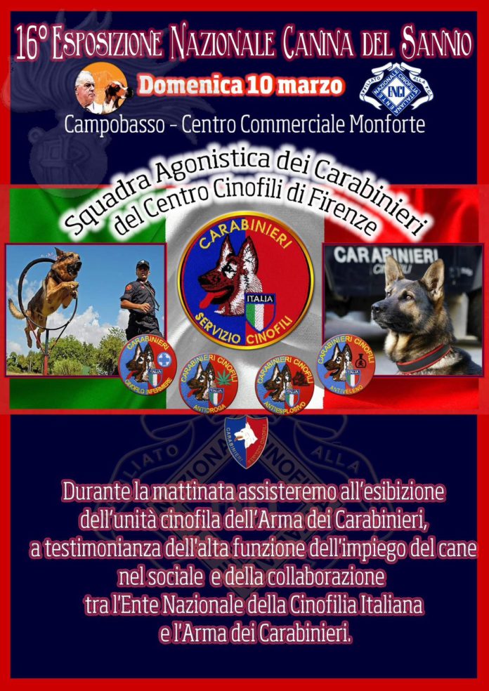 Sedicesima esposizione nazionale canina del Sannio voluta dal Gruppo cinofilo “Nerilli”. Il presidente Roberti di Trivento: oltre 900 iscrizioni, un record assoluto