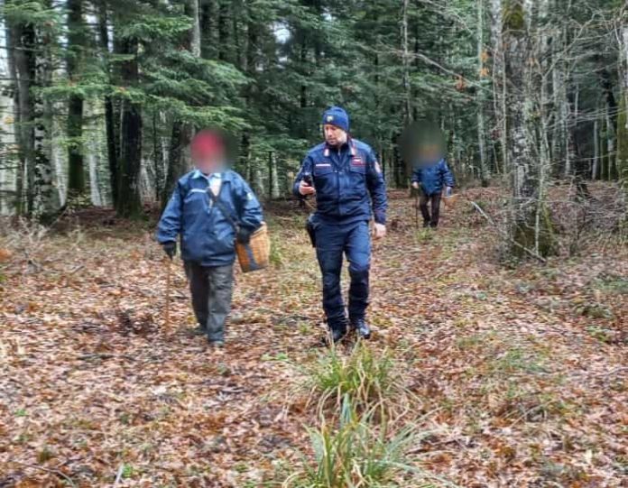 Carovilli, due anziani dispersi nei boschi mentre cercavano funghi: tratti in salvo dai Carabinieri forestali