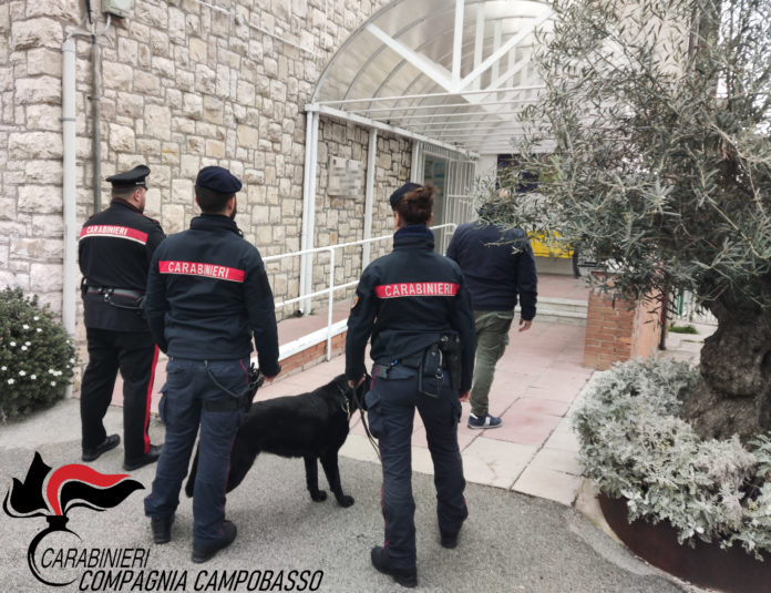Controlli dei Carabinieri nelle scuole di Campobasso, utilizzati anche cani antidroga