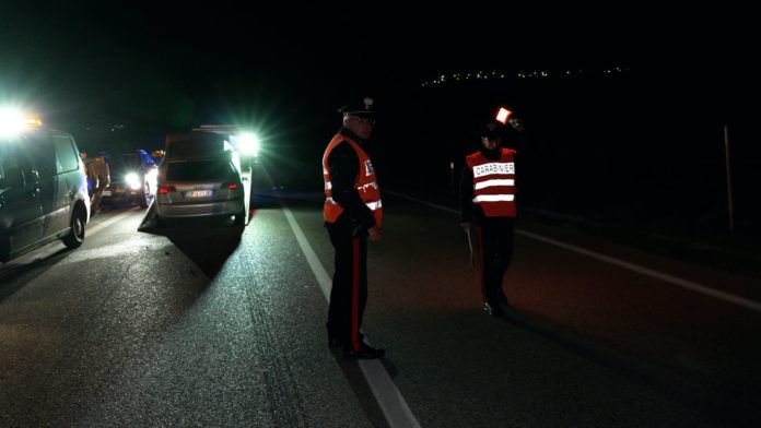 Emergenza cinghiali, sindaca di Campobaso diffida la Regione