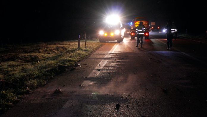 Auto travolge un cinghiale e viene tamponata, l’incidente sulla Fondovalle Tappino