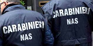 Nas in azione, chiusi due caseifici. Riscontrate gravi carenze igieniche e sanitarie