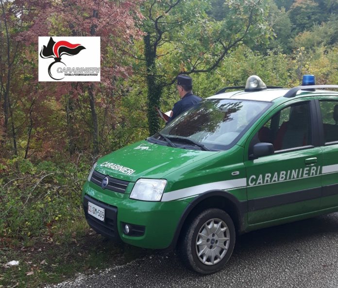 Termoli: Carabinieri forestali sequestrano area protetta di 900 m²