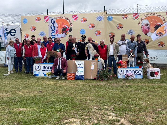 Successo per la 17esima esposizione regionale canina del Sannio. Il presidente Nicola Roberti: Il Gruppo cinofilo “Luigi Nerilli” e la Caserma “Frate” Scuola Allievi Carabinieri, un binomio perfetto