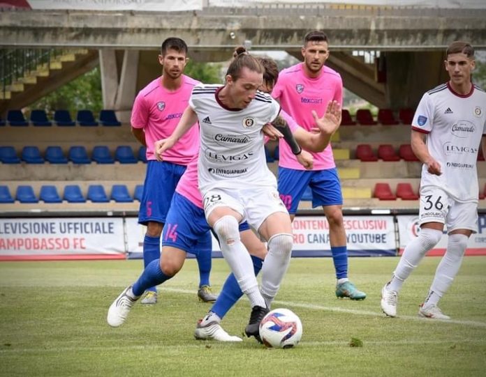 Calcio, Poule Scudetto, Campobasso in attesa dell’avversaria. Si chiude la stagione nel girone F