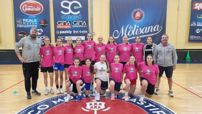 Basket, “Magnolia Tryout”, primo appuntamento di assoluto successo tra Vazzieri ed Arena. La soddisfazione del coordinatore del vivaio rossoblù Gabriele Diotallevi: «Felici per via di feedback molto positivi»