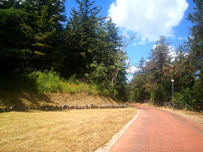 Pericolo cinghiali, la sindaca di Campobasso chiude la Via Matris