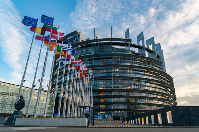 Elezioni Europee, sono cinque i molisani in corsa nella Circoscrizione Sud
