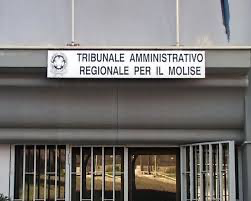 Giudizio di ottemperanza Tar Molise, disposto ripristino istituto scolastico “Dante Alighieri” Ripalimosani