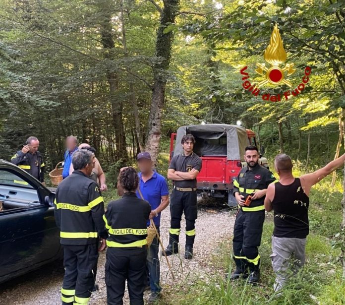 Si perdono nel bosco durante una escursione, ritrovati dai Vigili del Fuoco