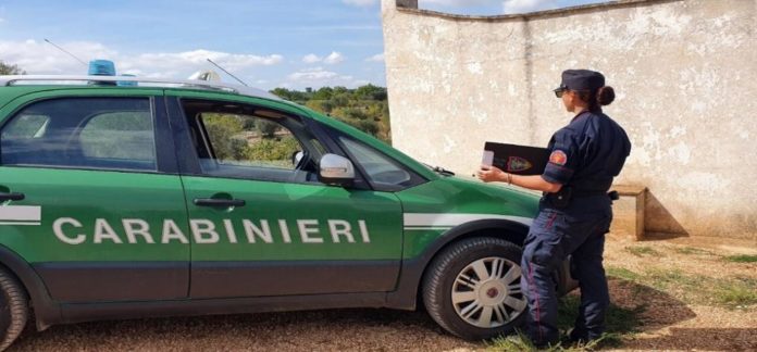 Struttura per anziani aveva stalla piena di animali, multa da 30mila euro